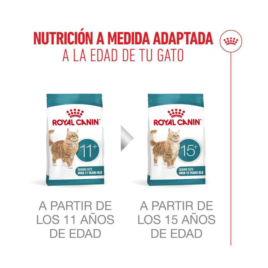 Royal Canin Ageing 11+ Sterilised pienso para gatos thumbnail