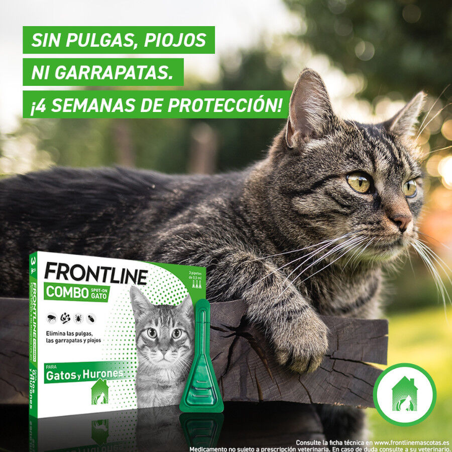 Frontline Combo Pipetas Antiparasitarias para gatos y hurones thumbnail