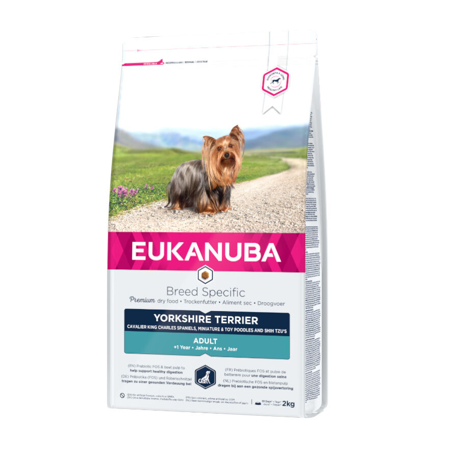 2 kg Eukanuba Adult Yorkshire Terrier pienso para perros, , large Imagen numero 1