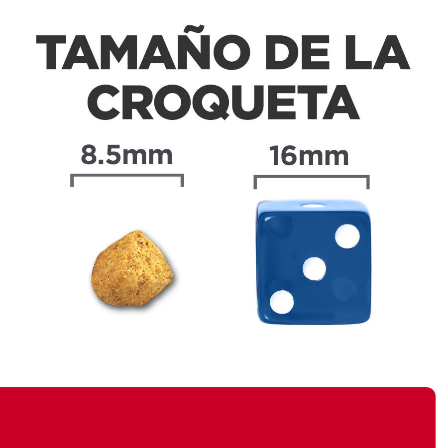8 kg Hill's Prescription Diet Urinary Stress + Metabolic c/d pienso para gatos, , large Imagen numero 6