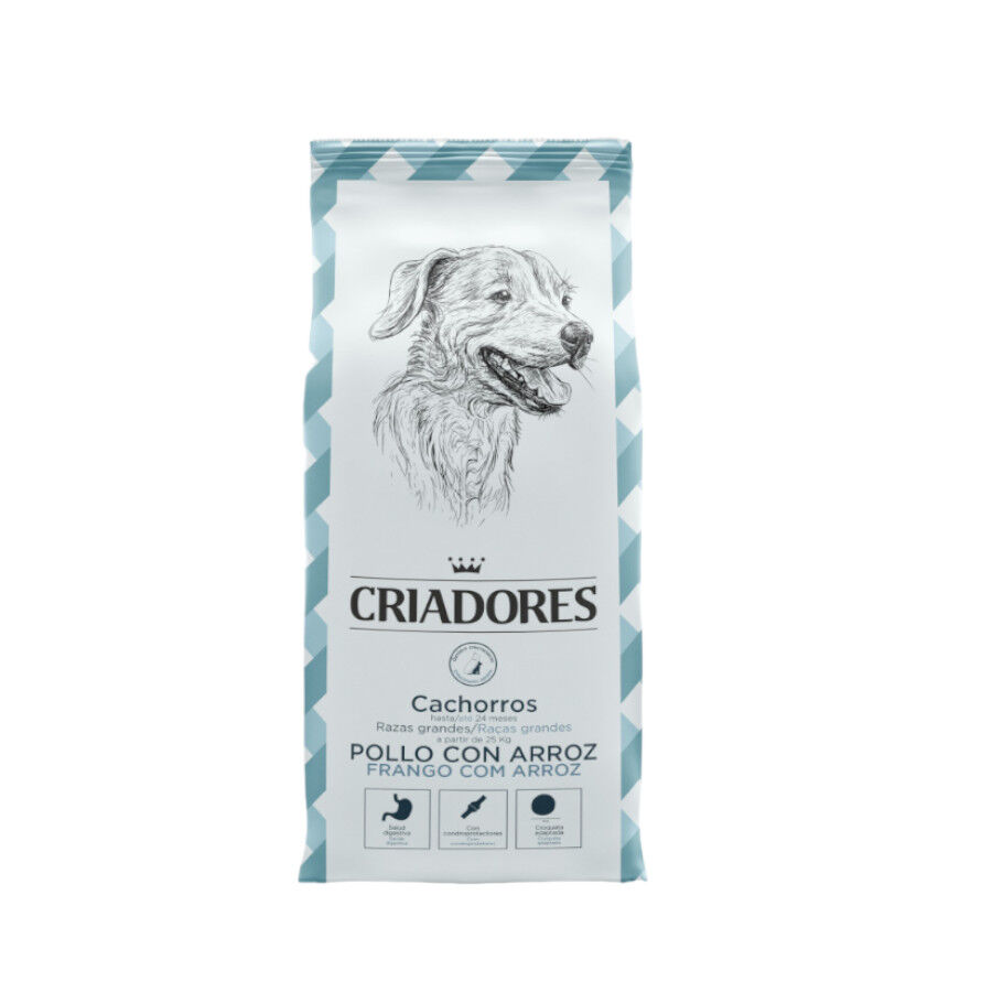 Criadores Pollo y Arroz pienso para cachorros de razas grandes