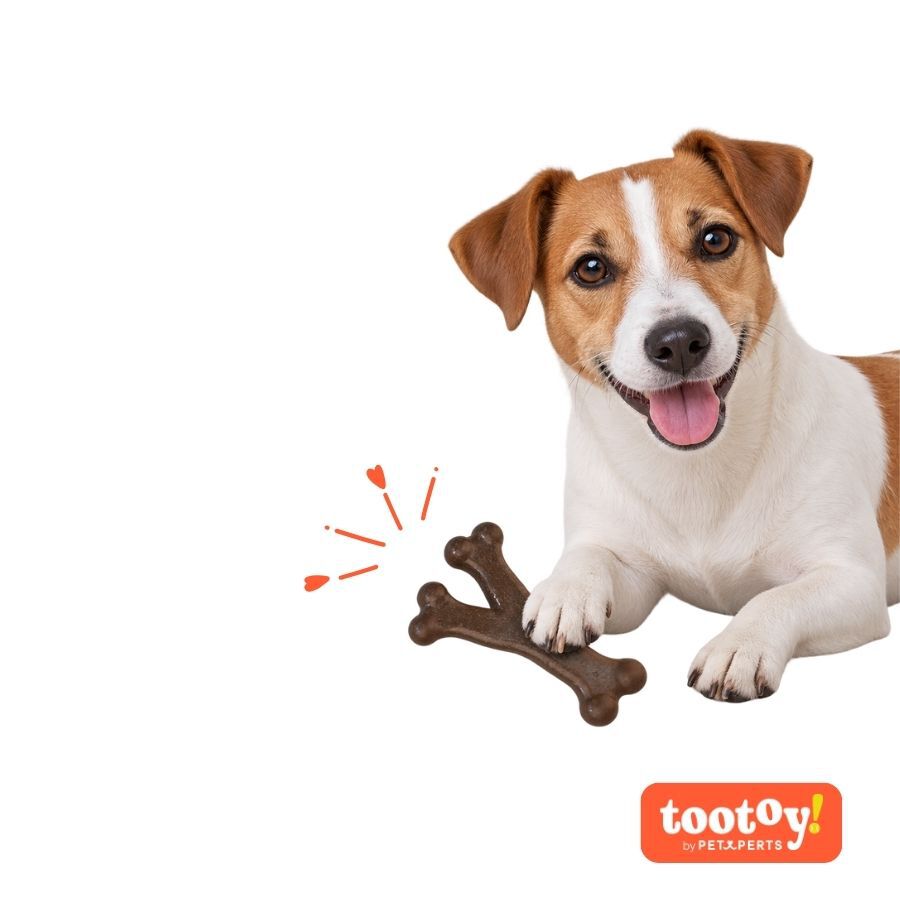 Tootoy! Chew Hueso Bac&oacute;n Juguete para perros, , large Imagen numero 7