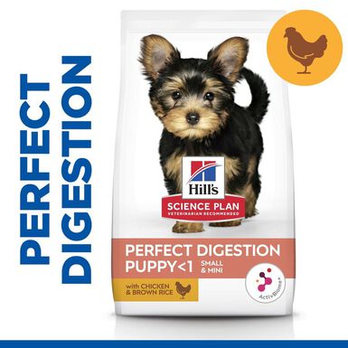 Hill's Science Plan Perfect Digestion Puppy Small y Mini Pollo y Arroz pienso para cachorros