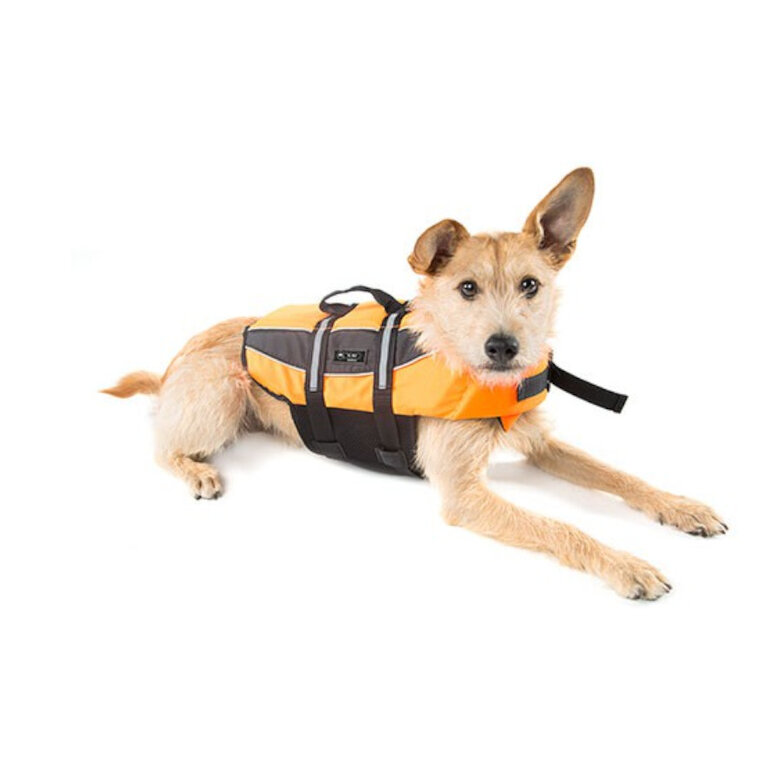 TK-Pet Pirineos Chaleco salvavidas naranja perros | Kiwoko