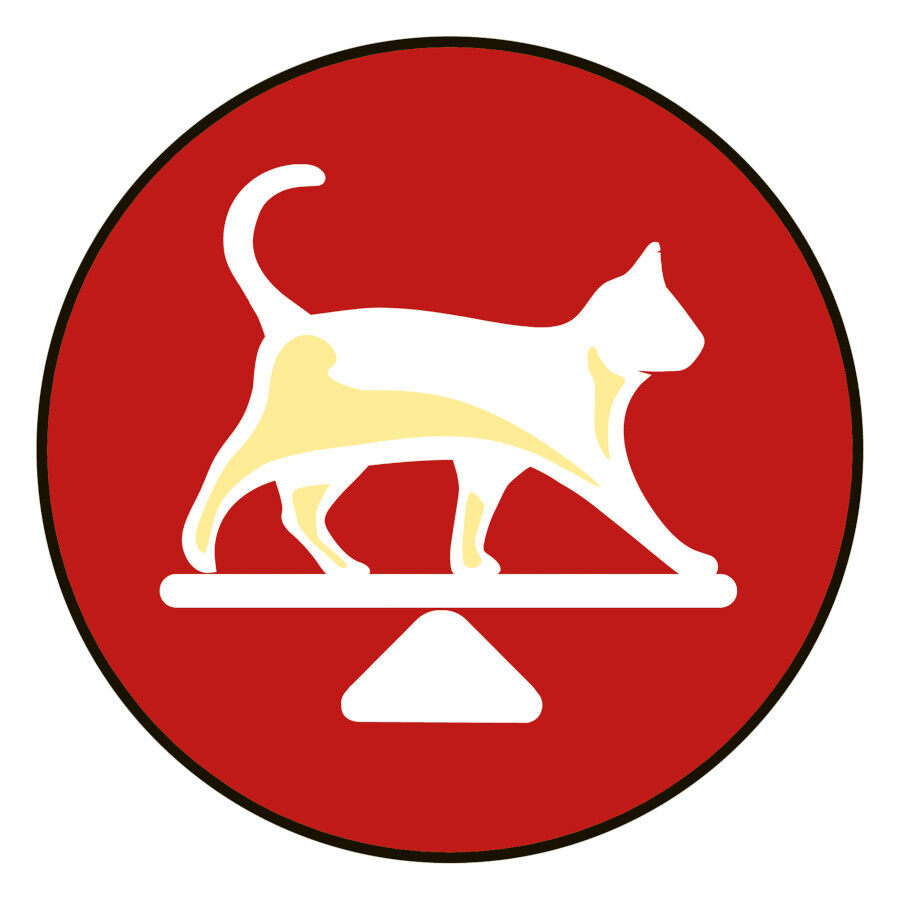 Friskies Adult Buey e hígado en Paté lata para gatos thumbnail