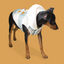 Outech Trenca Azul para perros, , large indicador imagen numero 2