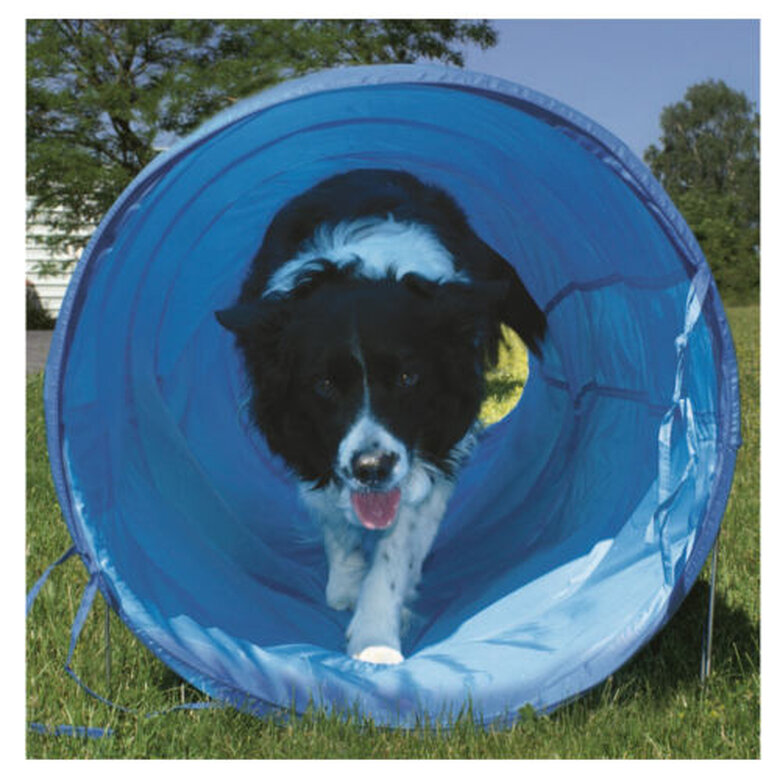 Ribecan Agility Túnel Flexible para perros,  Imagen numero 1 Ribecan túnel flexible de agility para perros Imagen numero 1