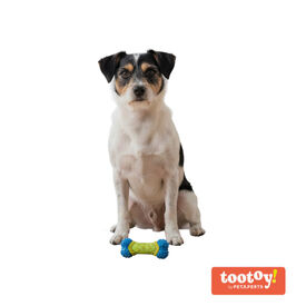 Tootoy! Hueso de Goma con Texturas para perros