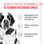 Royal Canin Starter Puppy Giant Pienso para perros, , large indicador imagen numero 3