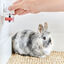 Beaphar RabbitComfort Difusor y Recambio para conejos, , large indicador imagen numero 6