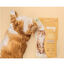 Weego Soft Tofu arena aglomerante para gatos, , large indicador imagen numero 3