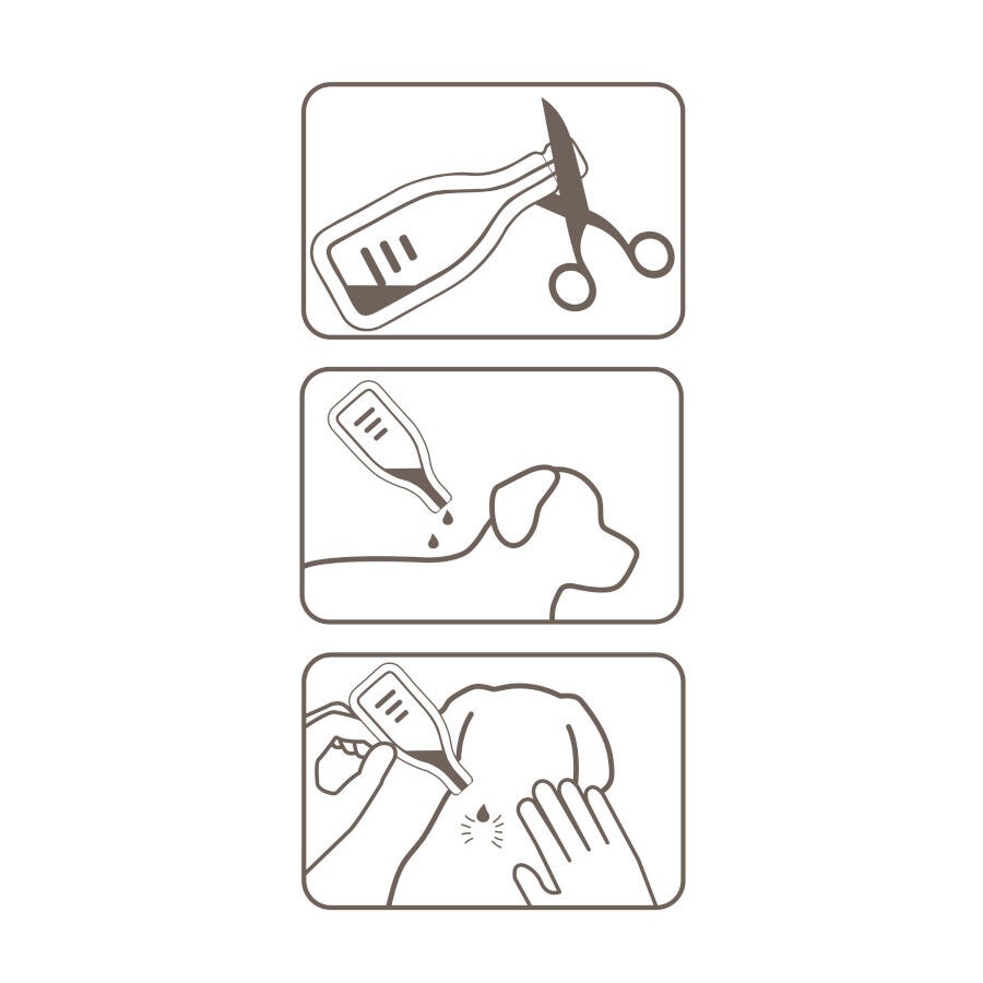 Beaphar FiproTec Pipetas para perros thumbnail