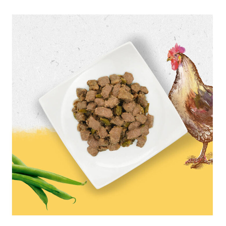 400 g Beyond Grain Free pollo lata para perros,  Imagen numero 3 400 g Beyond Grain Free pollo lata para perros, , large Imagen numero 3