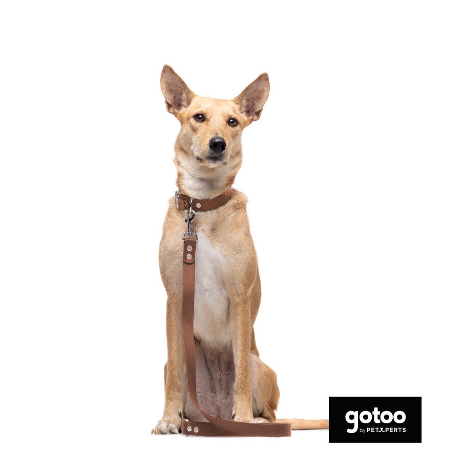 Gotoo Correa Biothane marr&oacute;n para perros, , large Imagen numero 3