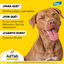 AdTab Comprimidos Masticables Antiparasitarios para perros, , large indicador imagen numero 8