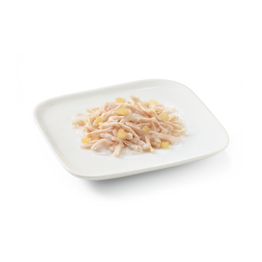 Schesir Adult pollo con manzana lata para perros thumbnail