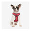 Disney Arnés Estampado Minnie para perros, , large indicador imagen numero 2