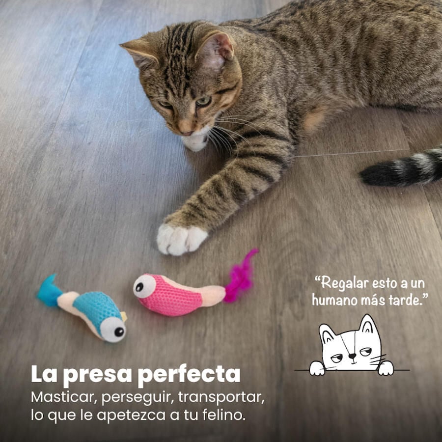 Catstages Dental Shrimpies Peluches con Plumas para gatos, , large Imagen numero 2