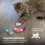 Outward Hound Catstages Dental Shrimpies Peluches con Plumas para gatos, , large indicador imagen numero 2
