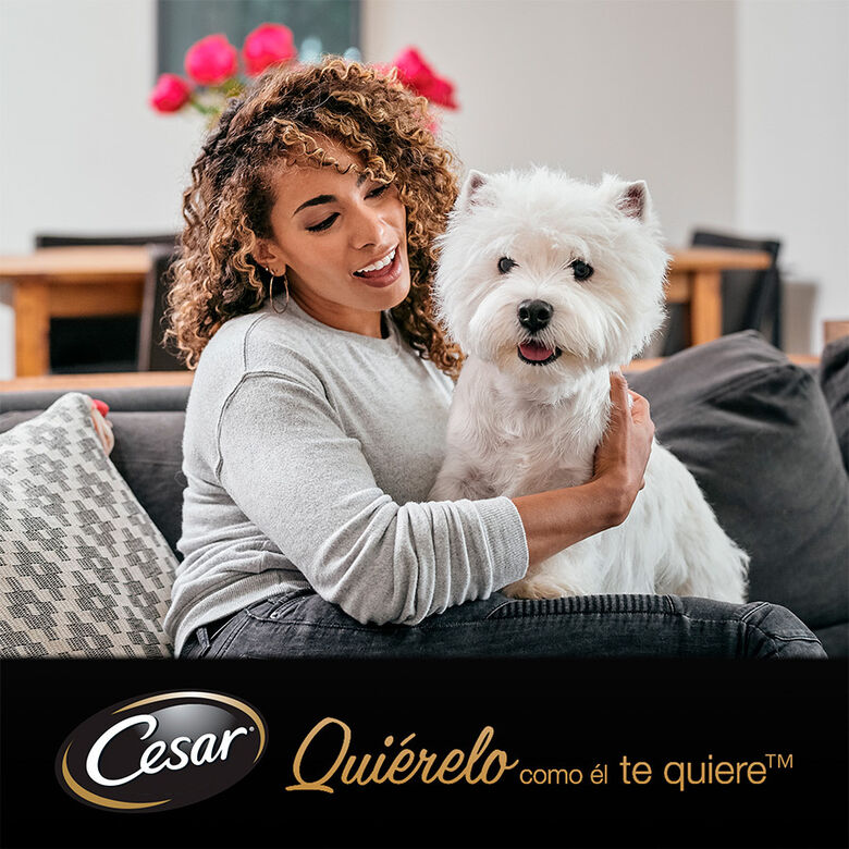 Cesar Carnes Mixtas Salsa en Bolsita para Perros - Multipack thumbnail
