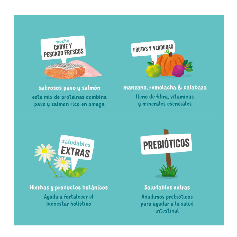 Edgard &amp; Cooper Salmón y Pavo tarrina para perros thumbnail