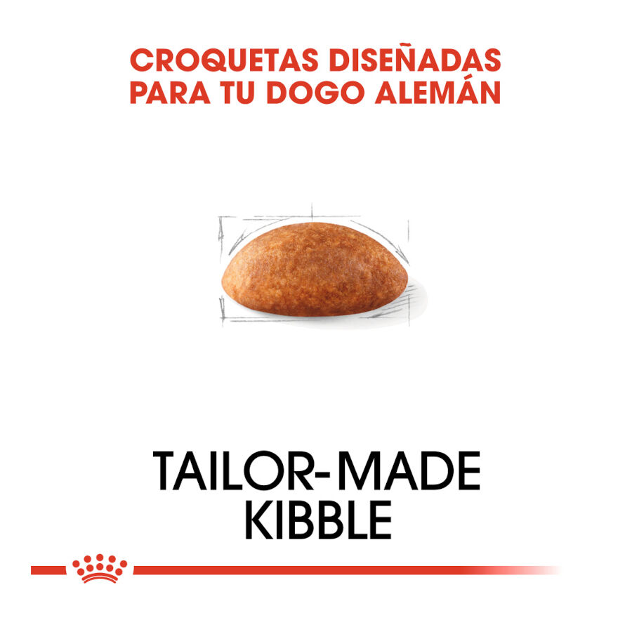 12 kg Royal Canin Adult Great Dane pienso para perros, , large Imagen numero 5