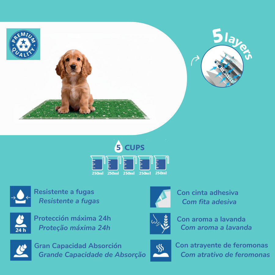 Nice Care Empapadores Pasto para perros, , large Imagen numero 4