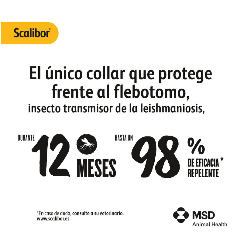 Scalibor Collar Antiparasitario para perros thumbnail