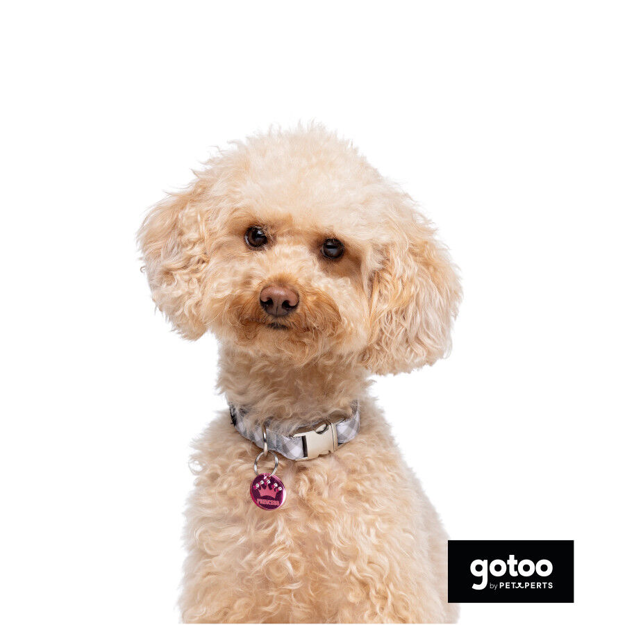 Gotoo Collar estampado cuadro vichy gris para perros thumbnail