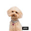 Gotoo Collar estampado cuadro vichy gris para perros, , large indicador imagen numero 3