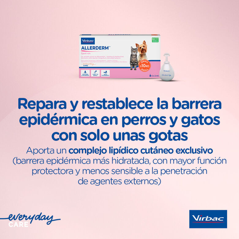 Virbac Allerderm spot on Pipetas dermatológicas para el cuidado de la piel Perros y Gatos. thumbnail