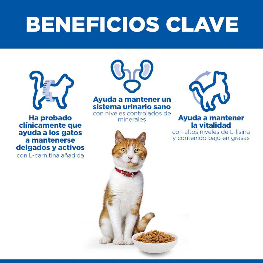 Hill's Science Plan Sterilised pienso pato para gatos adultos esterilizados thumbnail