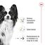 Royal Canin X-Small Ageing 12+ Adult pienso para perros, , large indicador imagen numero 5