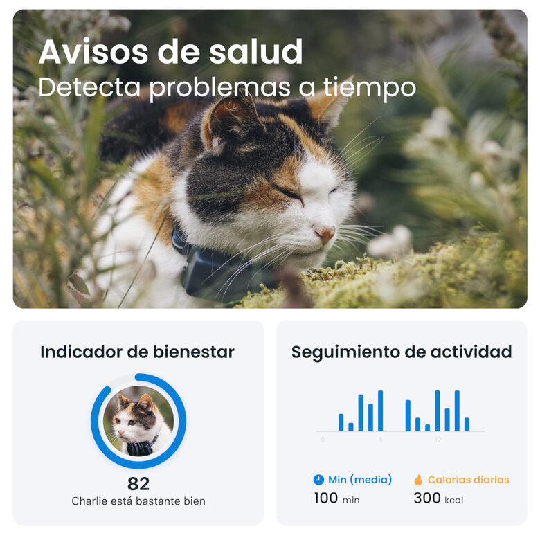 Tractive Localizador GPS para gatos,  Imagen numero 7 Tractive Localizador GPS para gatos, , large Imagen numero 7