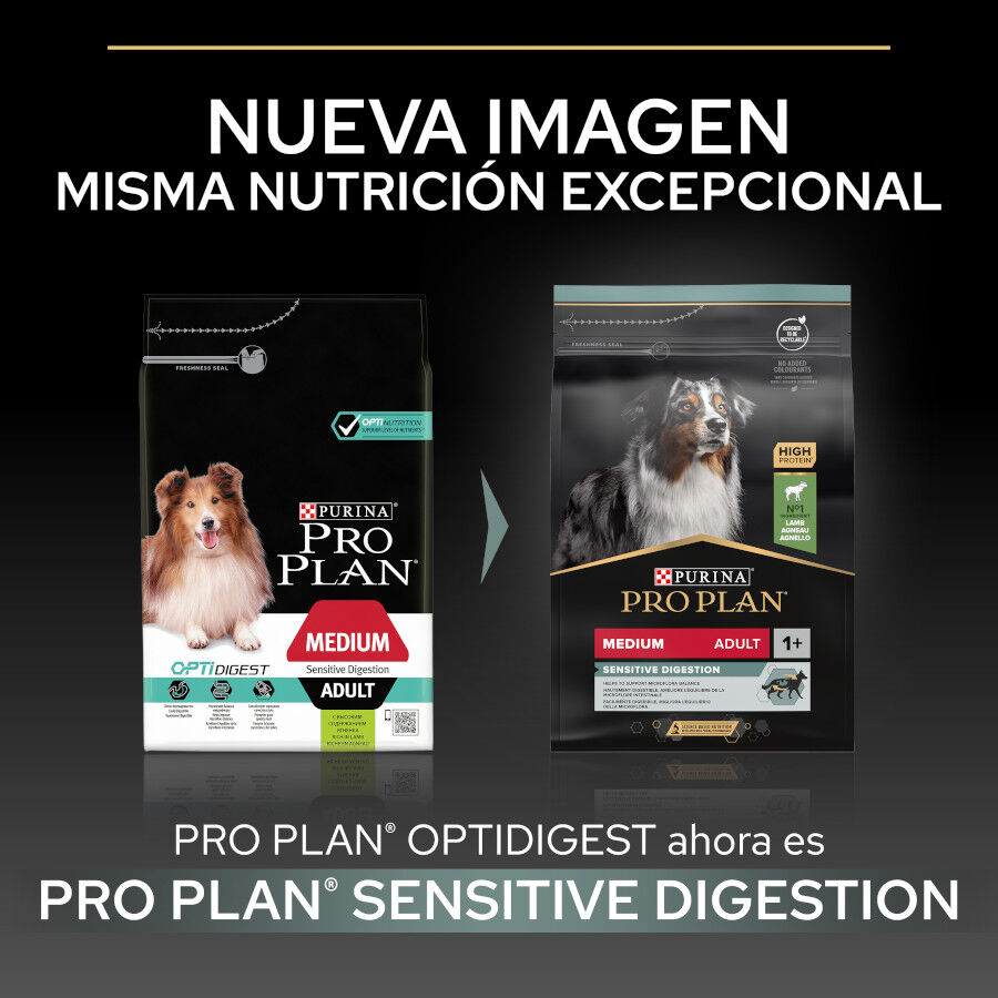 Pro Plan Adult Medium Digestión Cordero pienso para perros thumbnail