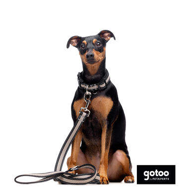 Gotoo Correa reflectante de malla gris para perro