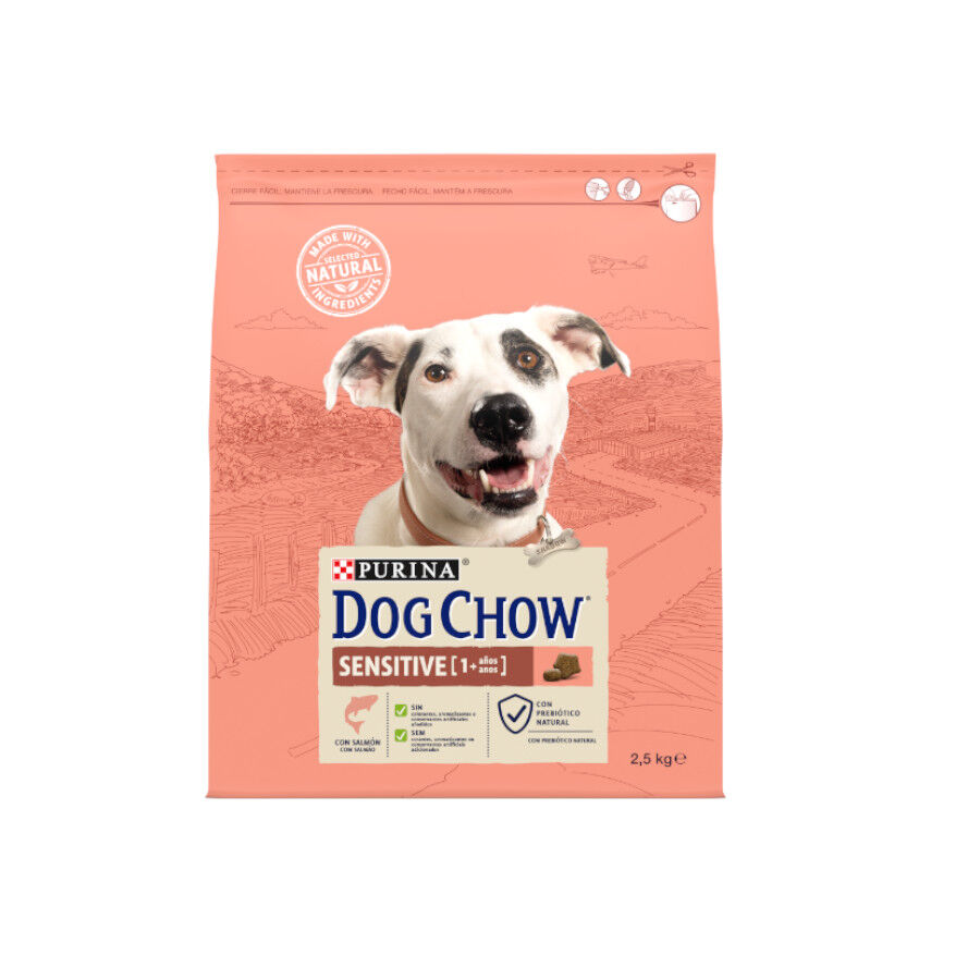Dog Chow Sensitive Salmón pienso para perros
