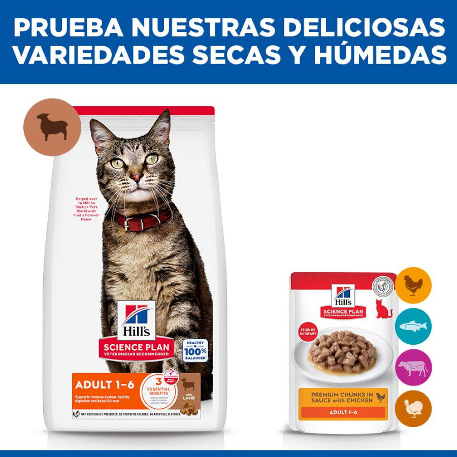 10 kg Hill's Science Plan Adult Cordero pienso para gatos, , large Imagen numero 8