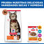 10 kg Hill's Science Plan Adult Cordero pienso para gatos, , large indicador imagen numero 8