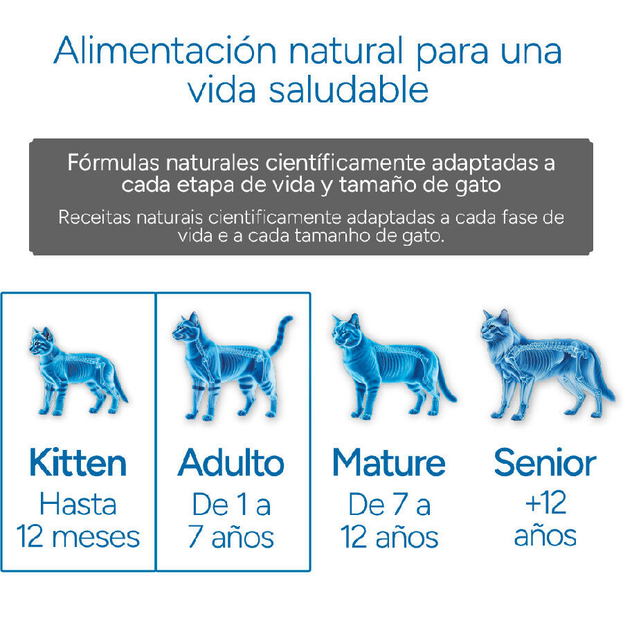 Criadores Científico Mother&amp;BabyCat pollo pienso para gatos thumbnail