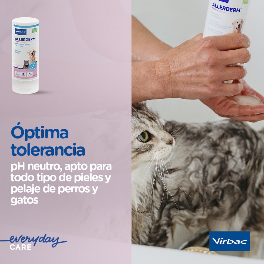 Virbac Allerderm Champú Piel Normal para perros y gatos thumbnail