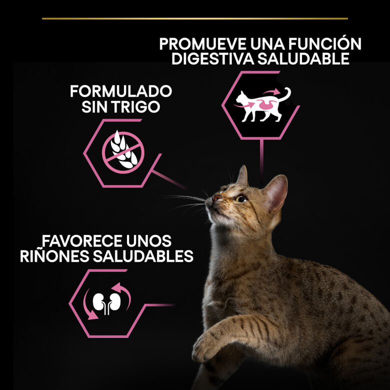 Pro Plan Adult Delicate Digestion pavo pienso para gatos thumbnail