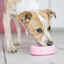 Kong Puppy Tire juguete para perros, , large indicador imagen numero 2