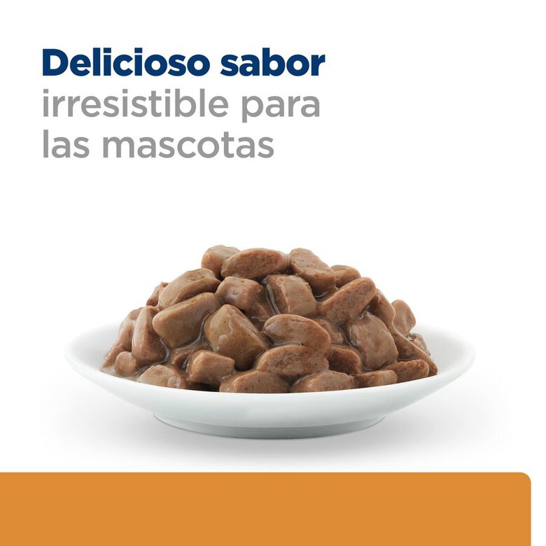 Hill's Prescription Diet Kidney Care Pollo sobre para gatos, , large image number null