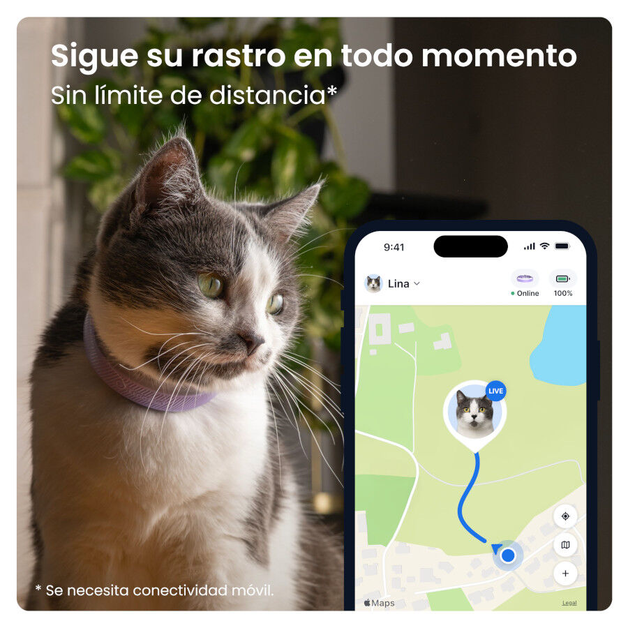 Tractive Cat 6 Mini Lavanda GPS para gatos, , large Imagen numero 2