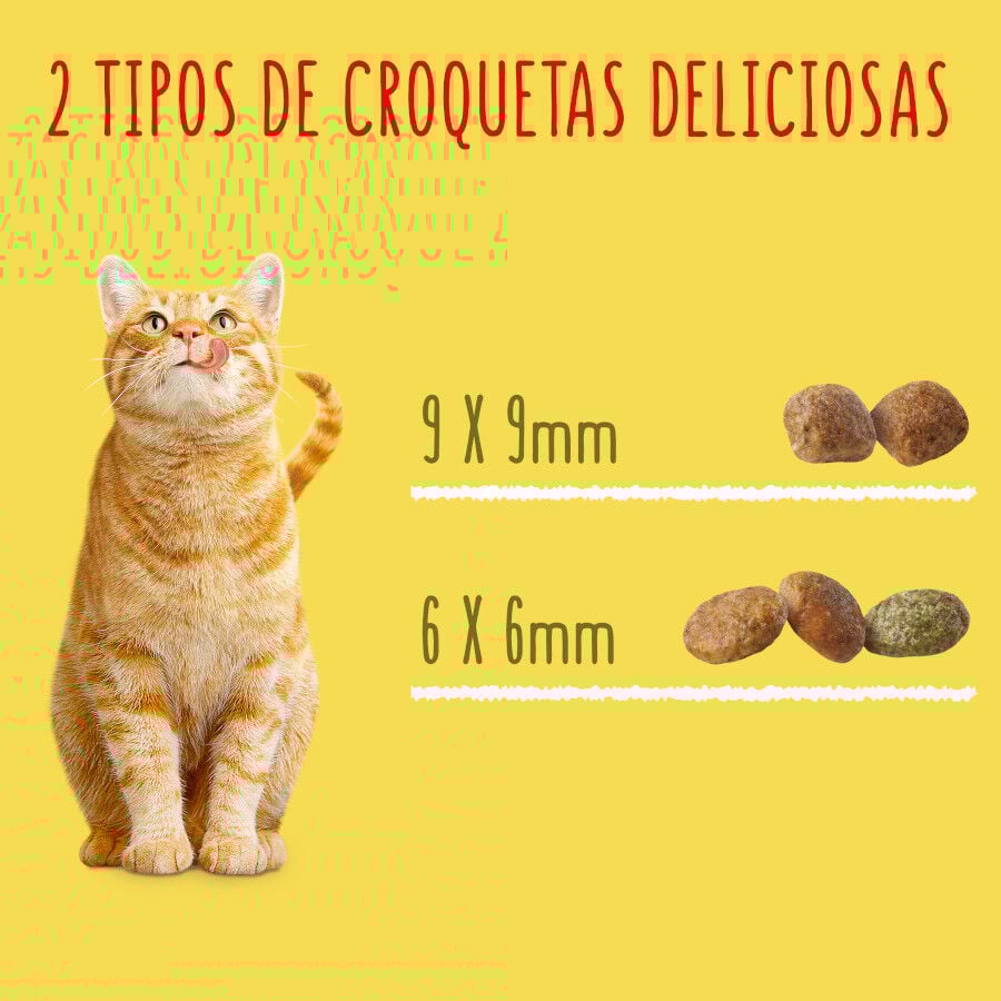 Friskies Sterilized Pollo y Pavo con Verduras pienso para gatos thumbnail