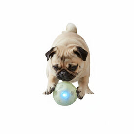 All For Paws Juguete Knite Bal&oacute;n con Luz para perros