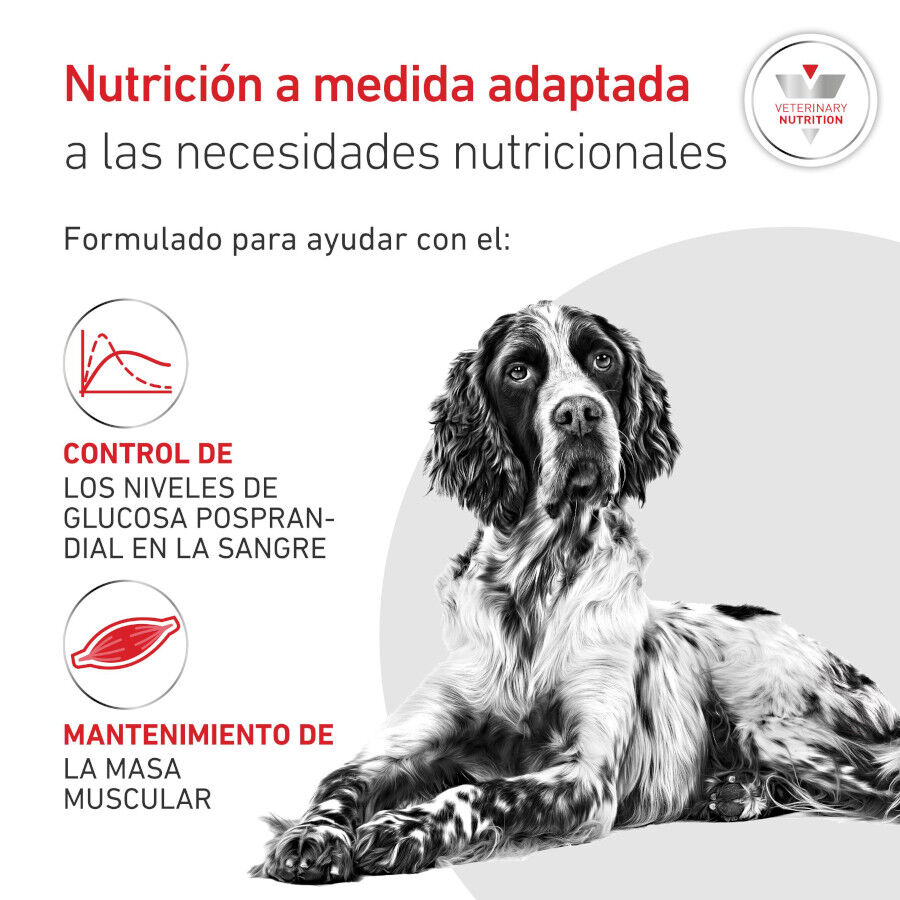 410 g Royal Canin Veterinary Diabetic latas para perros, , large Imagen numero 3