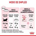 Royal Canin Kitten pienso para gatos, , large image number null