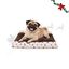 Wonder Christmas Coj&iacute;n Caramelo para perros, , large indicador imagen numero 1